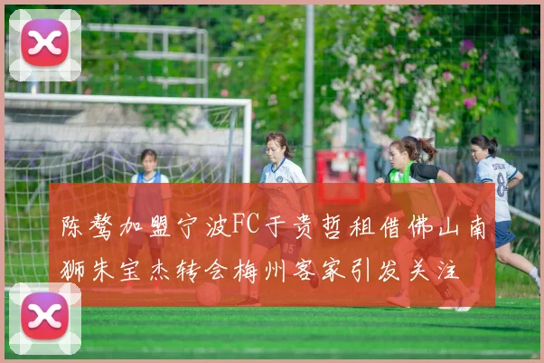 陈骜加盟宁波FC于贵哲租借佛山南狮朱宝杰转会梅州客家引发关注