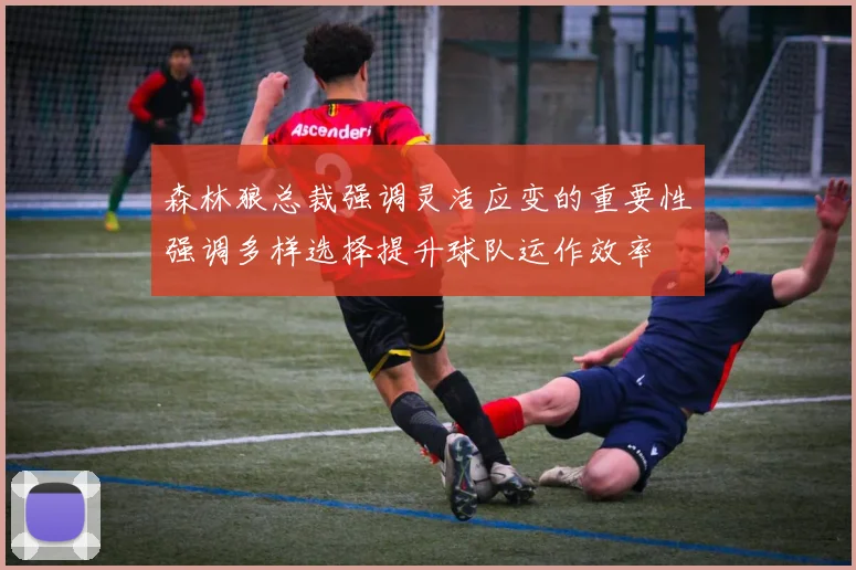 森林狼总裁强调灵活应变的重要性强调多样选择提升球队运作效率