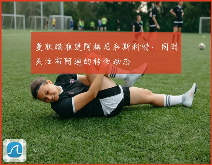 曼联瞄准楚阿梅尼和斯科特，同时关注布阿迪的转会动态
